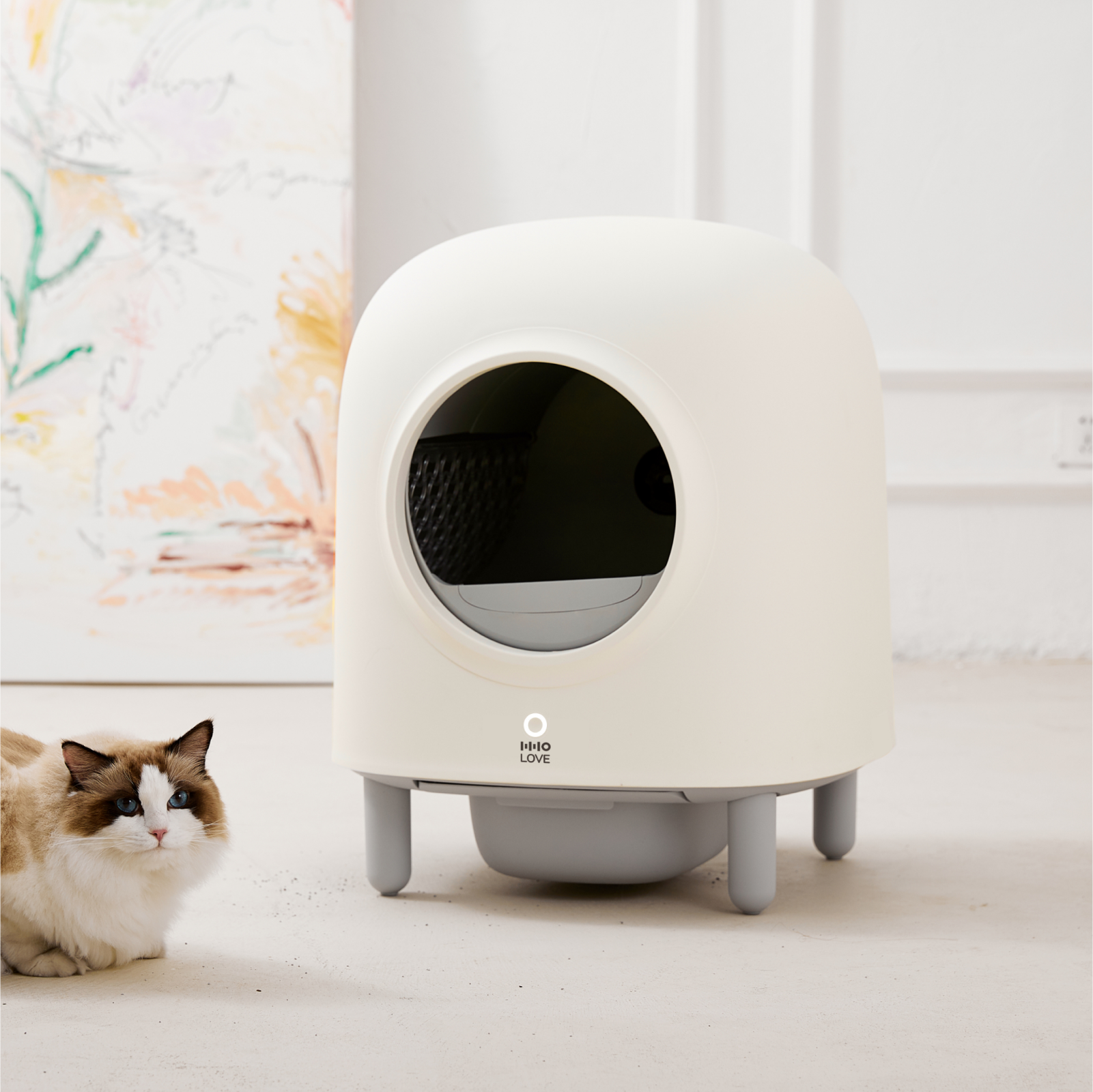 HHOLOVE Smart Self-Cleaning Cat Litter Box